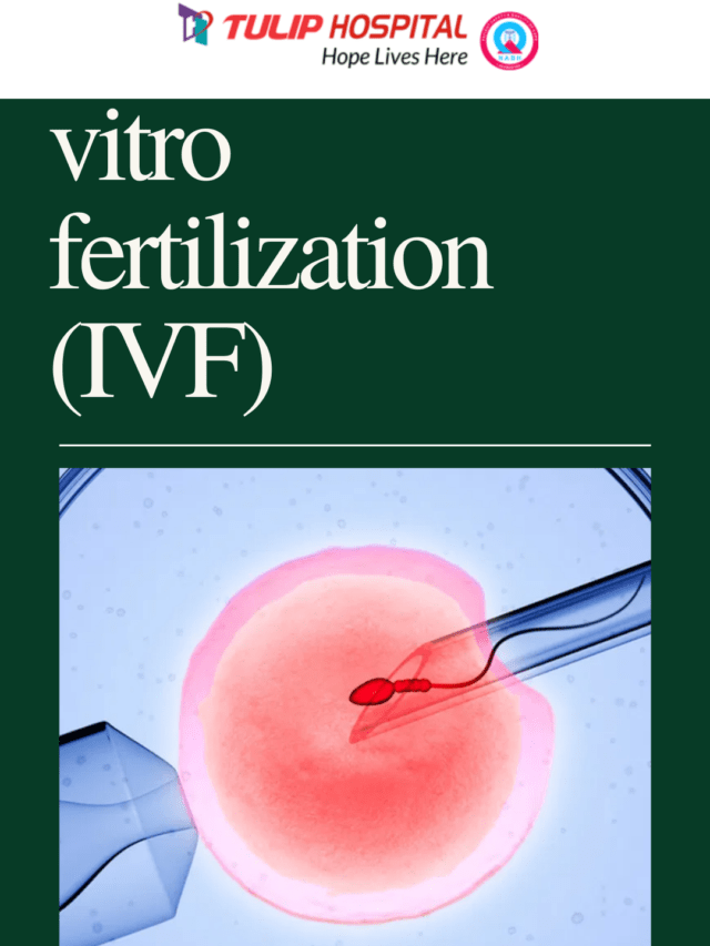 vitro fertilization (IVF)