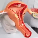 Gynaecologist