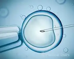  Test tube babies and the myths that need to go