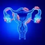 ivf tulip