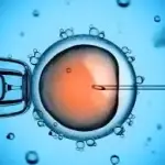 myth and facts ivf_tulip