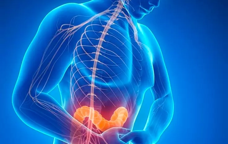  How Stress Affects Your Kidneys