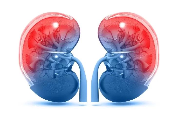  What Is Creatinine? And Why Should You Care?