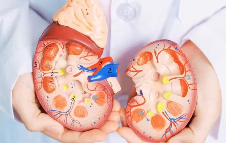  Small Changes, Big Impact on Your Kidney Health