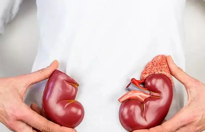  Is That Snack Hurting Your Kidneys?