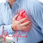 Human Heart Anatomy