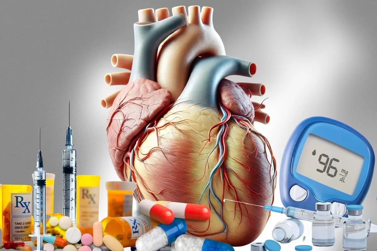 Human Heart Anatomy
