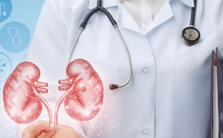  How to Find the Best Urologist Near You Without the Hassle