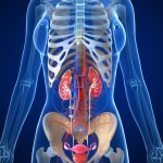 Urinary Infection