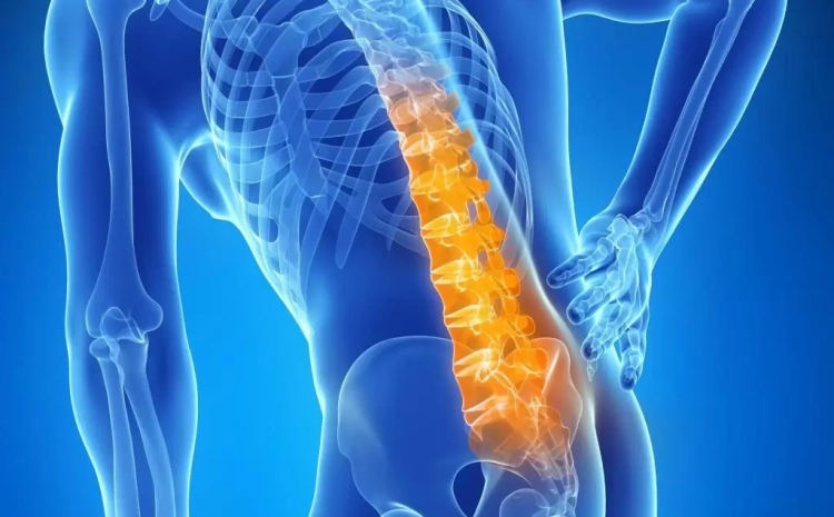  When Back Pain Turns Serious: Knowing the Right Time to See a Neurosurgeon