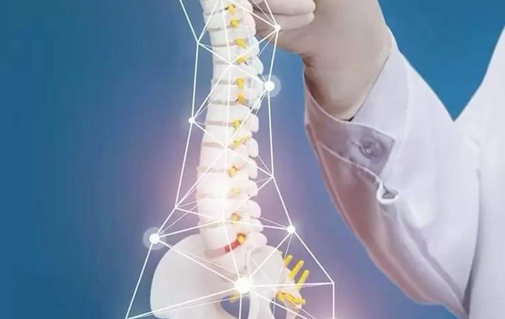  Why Spine Health Is the Backbone of a Pain-Free Life
