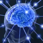 Your Brain’s Silent Signals: How to Spot Early Signs of Nerve Damage