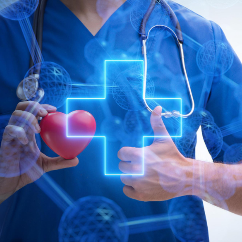 Internal Medicine Doctor Tulip Hospital