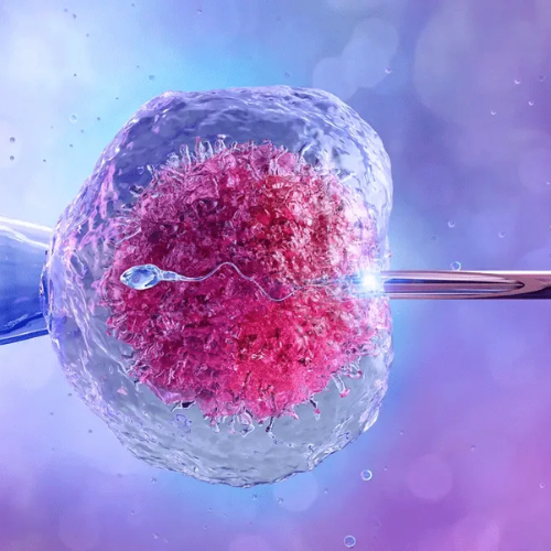 IVF Centre Tulip Hospital Sonipat