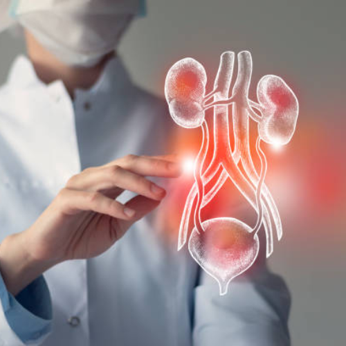 Urology Department Tulip Hospital Sonipat