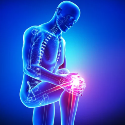 Orthopedic Department Tulip Hospital Sonipat