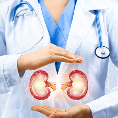 Nephrology Department Tulip Hospital Sonipat