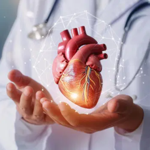 Cardiology Department Tulip Hospital Sonipat